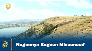 Nageenya Eeguun Misoomaaf
