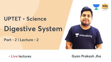 Digestive System Part-2 | Science - UPTET 2021 | Hello Teachers | Gyan Prakash Jha