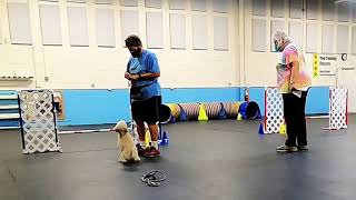 Mars Agility 9 2 20 Serpentine & Threadle