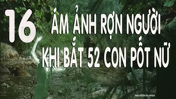 16) Rợn Người Khi Bắt Sống 52 Lính Pôn Pốt Nữ Giữa Dòng Suối - Hồi ký chiến trường Campuchia