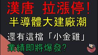 漢唐 亞翔漲停啦! 把握一檔「小金雞」將業績爆發 //BC股倉 (開啟字幕)