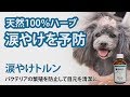 『涙やけトルン』汚れた目元をハーブ液で清潔に保ち、バクテリアの繁殖を抑えます