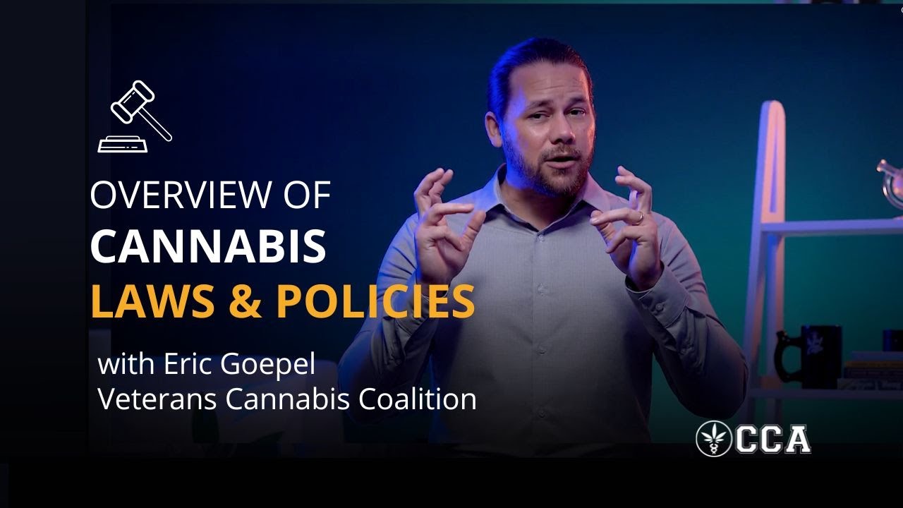 Overview of Current Cannabis Laws and Policies 2022-2023
