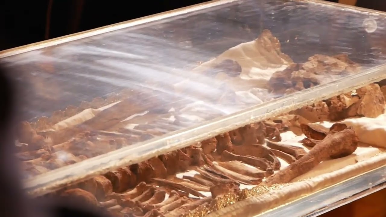 Le spoglie di San Francesco, il video