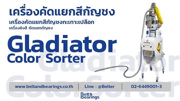 เครื่องคัดแยกสีเมล็ดกัญชง ยิงสีกัญชง คัดแยกสีกัญชงกะเทาะเปลือก