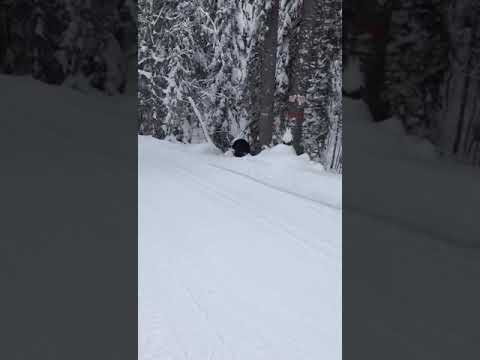 Vídeo: Esquí de fons a Western PA