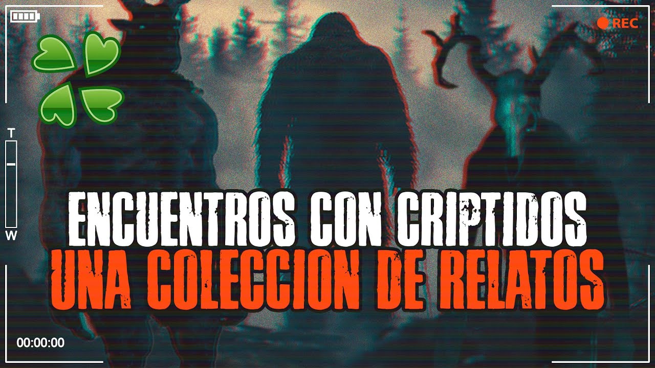 Encuentros criptidos en los bosques de todo el mundo - /x/ Una colección de historias de 4chan /🍀/