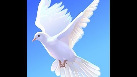 Голубь Мира/ Dove of Peace