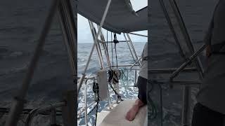 Fish ON the line on way to Bequia IMG 2603