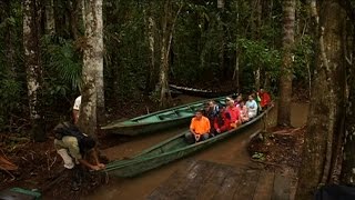 First Ever Climate Summit in Amazon Country Amidst Growing Threat to "Heart of the Planet"