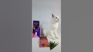 Reasons to buy Pads? Check the video NOW! #periods #pads#rashfree #cottonpads #absorbent #paperbags