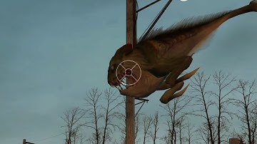 Strange Half-Life 2 Beta Map #1: "ickypop"