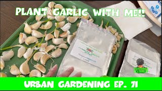 How To Grow Garlic In A Raised Bed | Zone 8A | Urban Garden Ep. 71 || Steffanie's Journey by Steffanie's Journey 64 views 2 months ago 18 minutes