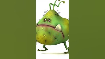 The First Computer Virus: Brain Virus 1986 🧠💻