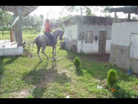 Rancho Sinai, La Ceiba Honduras CA Marlon Mendoza