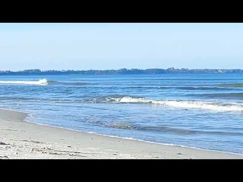 ASMR am Meer🌊mit der heilenden Wirkung der Alpha-Wellen Wellenrauschen|Flüstern|sanfte Musik...😴