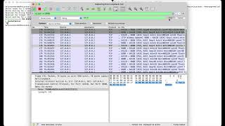 3.3.1 JavaSimpleSock2 Wireshark Demonstration