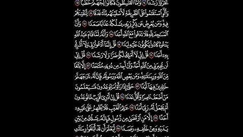 صفحة رقم 573 وأنا منا المسلمون ومنا القاسطون القارئ: محمود عبد العزيز