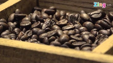 Twitter Beans Coffee