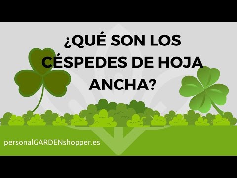 Video: Céspedes de la Zona 5: Selección de los mejores céspedes para los jardines de la Zona 5