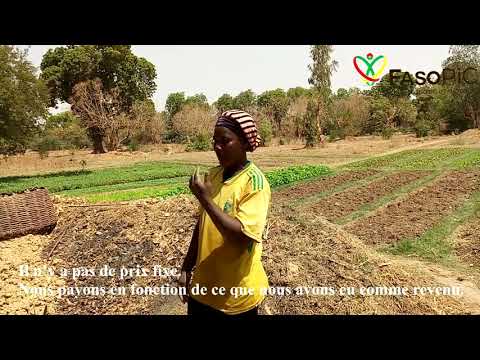 Culture maraîchère: le