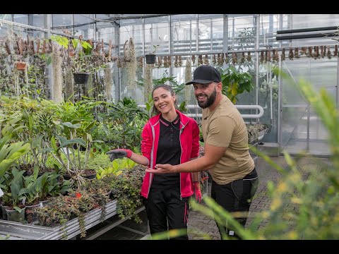 Video: Práce ženy je jako práce zahradníka
