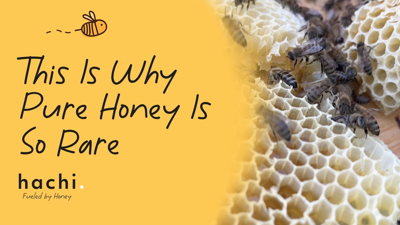 Вот почему чистый мёд так редок.