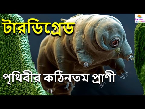 ভিডিও: সামুদ্রিক জীববিজ্ঞান কি জীবন বিজ্ঞান?