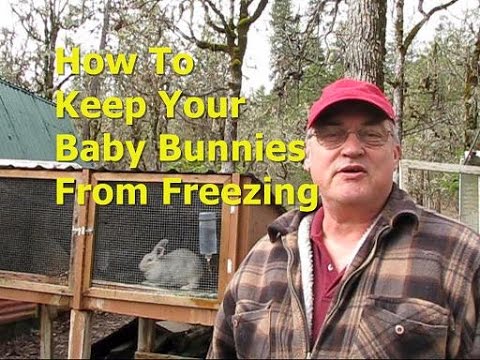 Video: What To Do To Keep The Baby From Freezing