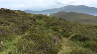 Great Blasket Island, Ireland
