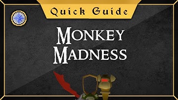 [Quick Guide] Monkey Madness