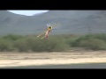 Seth arnold freestyle 2009 tucson shootout