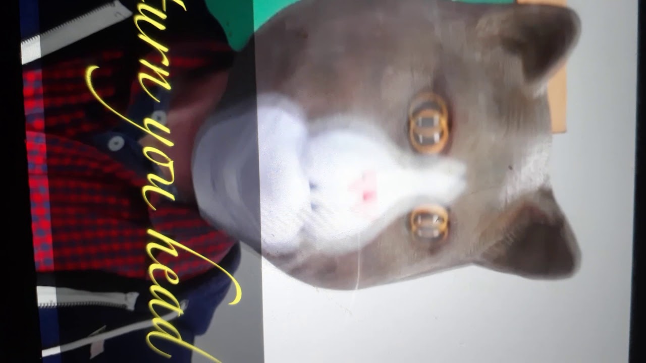 Tomcat Doujinshi