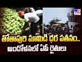 Totapuri Mango Prices Fall : తోతాపురి మామిడి ధర పతనం...ఆందోళనలో ఏపీ రైతులు - TV9