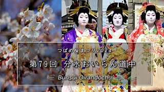 79th Bunsui oiran 2024 movie  第79回分水おいらん道中