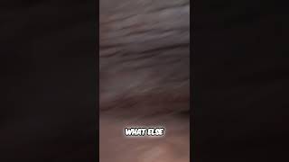 Missing Persons Cases: The Unsettling Truth Behind The Pins #shorts