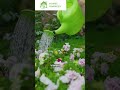 TOP 5 LANDSCAPING TIPS TO SELL YOUR HOME FAST ✍️🧠💡🏠✅❤️