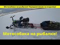 Мотособака на рыбалке! Передвижение по водоему!