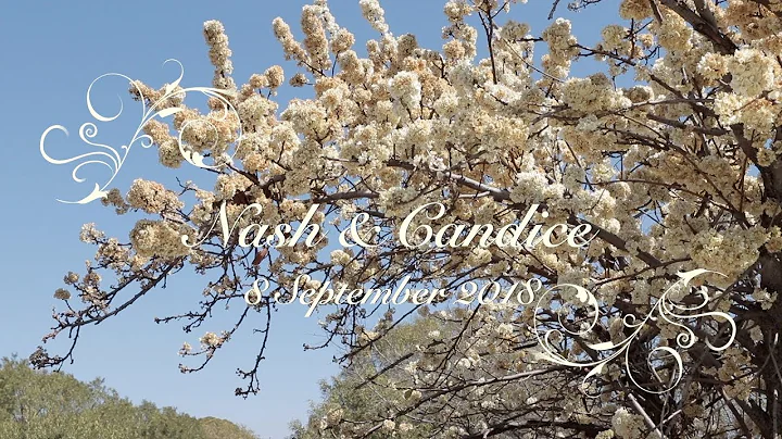 Nash & Candice's Hindu Wedding Video | Thaba Eco E...