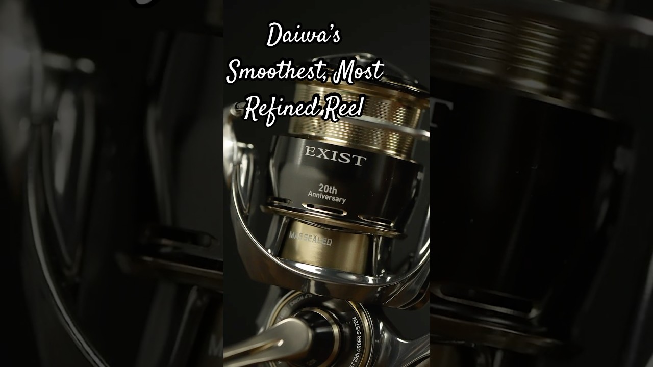 The Definition of RefinementDaiwa's 20th Anniversary Exist LT
