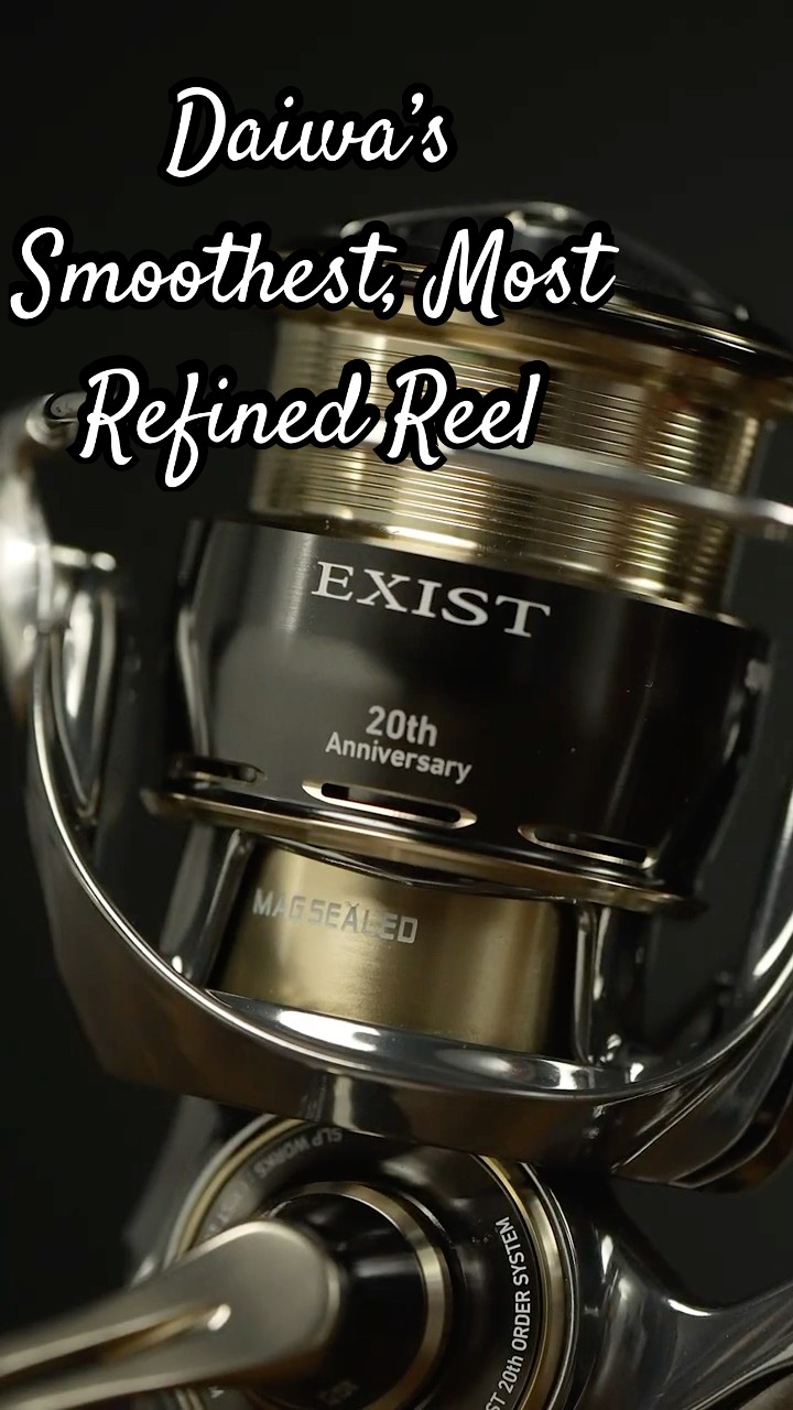 The Definition of RefinementDaiwa's 20th Anniversary Exist LT