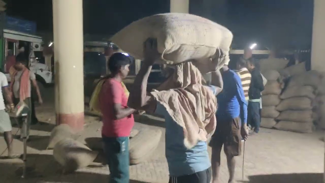 @kabir33671⁩  Paddy procurement under Kanchanpur ISBT on 12/02/2026