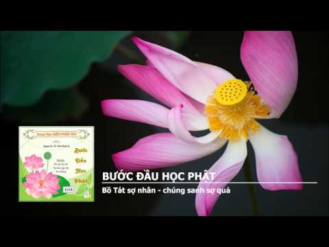 Video Bước Đầu Học Phật - Bồ Tát sợ nhân - chúng sanh sợ quả - youtube