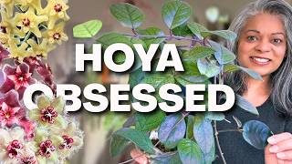 My Winning Hoyas | Finally Something Going Right This Season