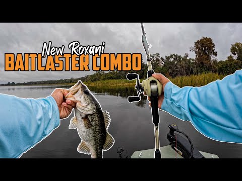 Best $100 Baitcaster combo By Abu Garcia, Winter Bass Fishing (Lake Alfred,  FL) 