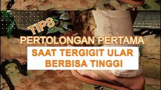 Tips Pertolongan Pertama Saat Tergigit Ular Berbisa Tinggi | OMG!! (24/05/22)