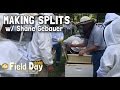 Brushy Mountain Bee Farm - Making Splits w/ Shane Gebauer