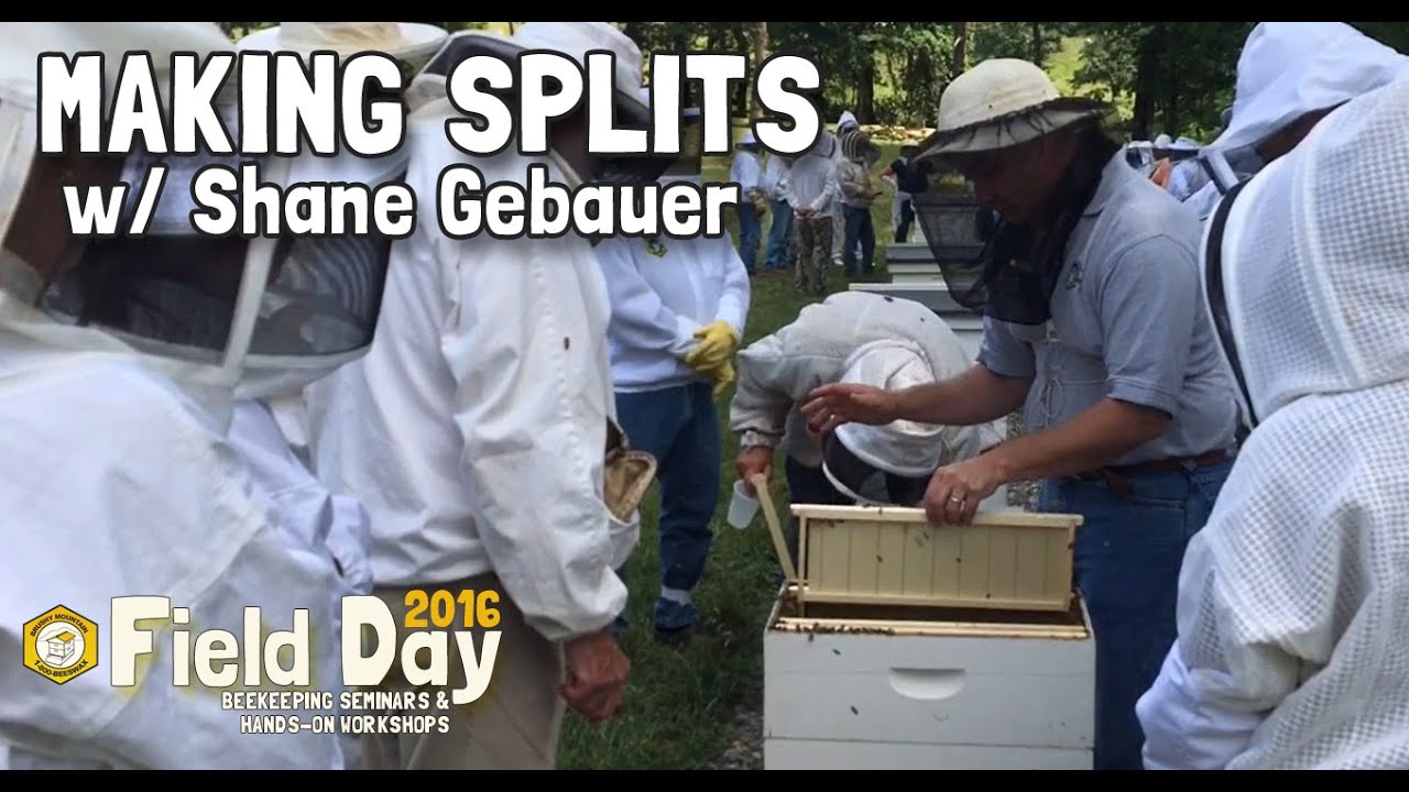 Brushy Mountain Bee Farm - Making Splits w/ Shane Gebauer
