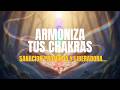 Armoniza tus Chakras ✨ Sanación Profunda y Liberadora | Frecuencia 432 Hz | Equilibrio Energético