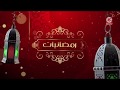 رمضانيات 10 طيور الجنة